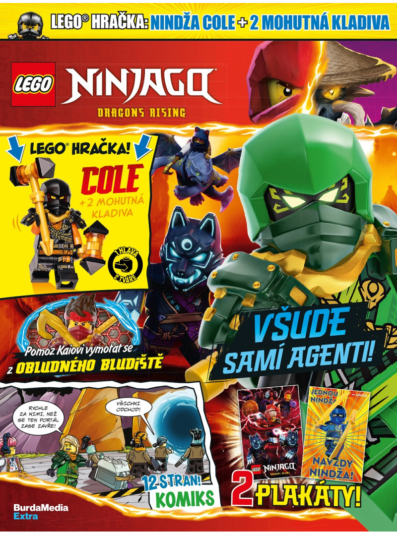 LEGO NINJAGO 9 2024